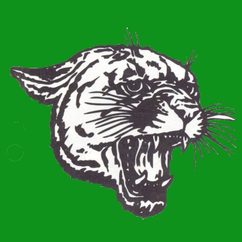 Coleman Schools